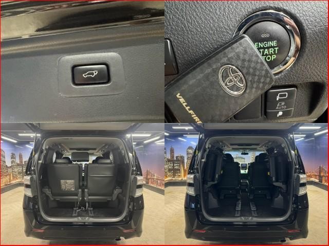 25179885_carP_l_10.jpg