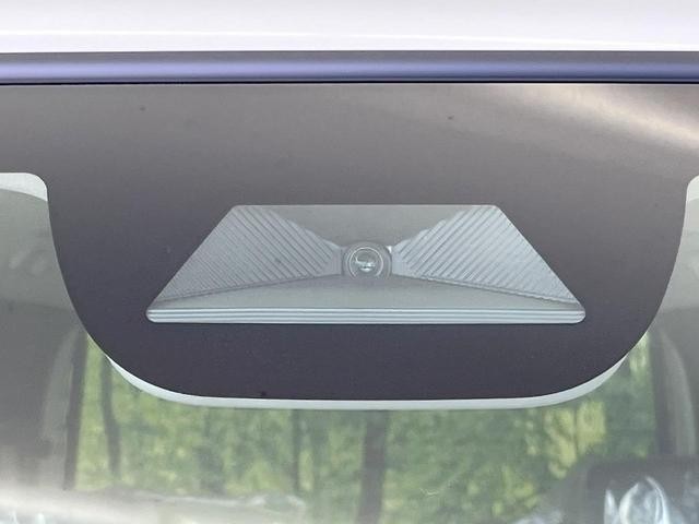 25344097_carP_l_4.jpg