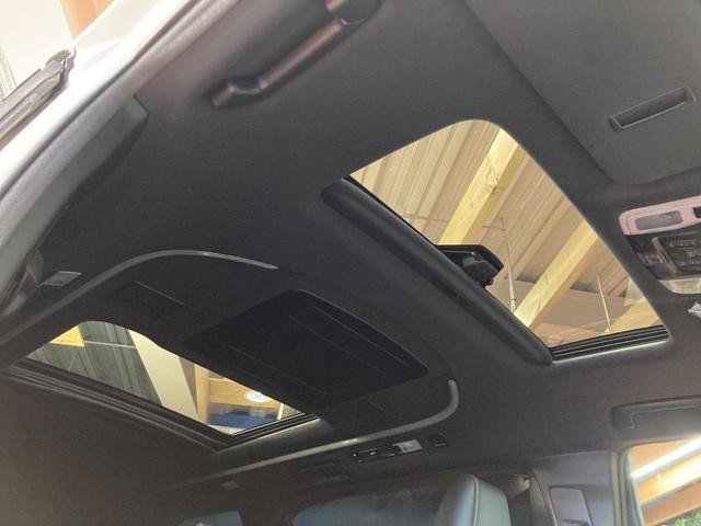 25323637_carP_l_15.jpg