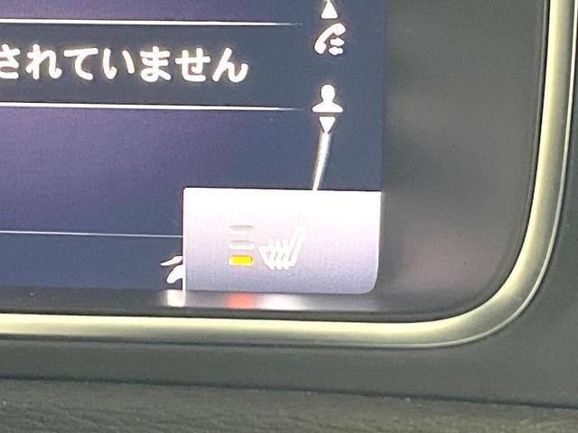 26084968_carP_l_17.jpg