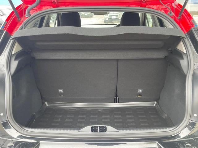 23093861_carP_l_5.jpg
