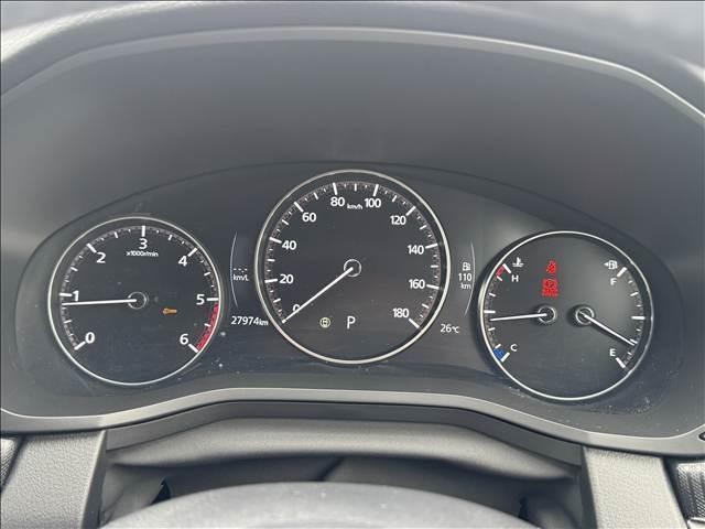 24234586_carP_l_7.jpg