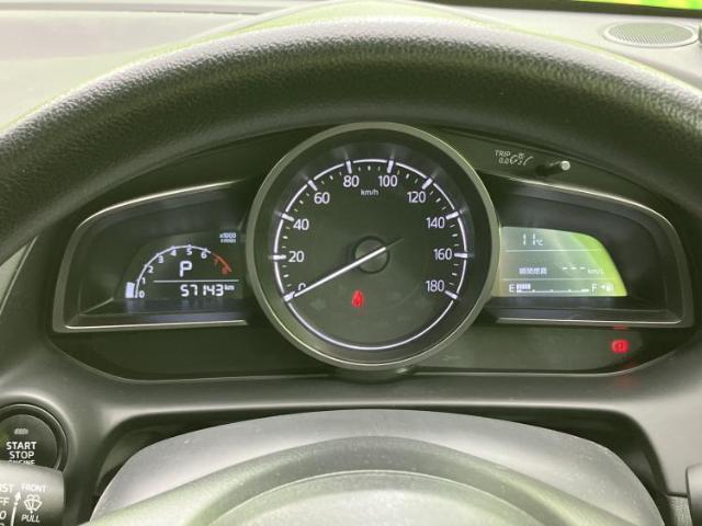 22849774_carP_l_9.jpg