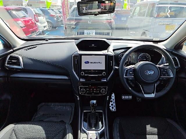 27052538_carP_l_15.jpg
