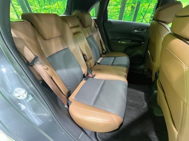 26293243_carP_l_19.jpg