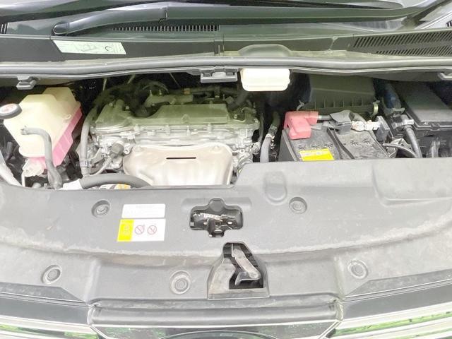 25425693_carP_l_16.jpg