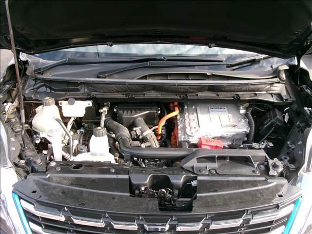 23454586_carP_l_18.jpg