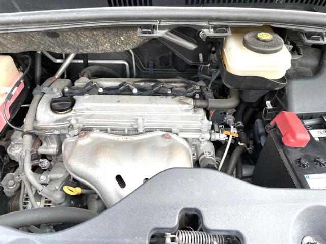 23094539_carP_l_16.jpg