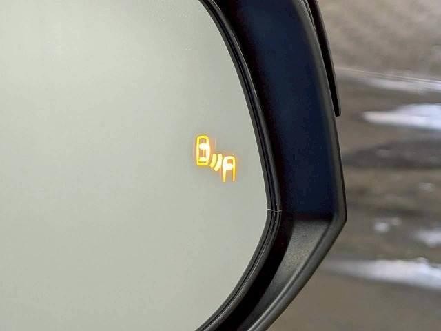 24000732_carP_l_2.jpg