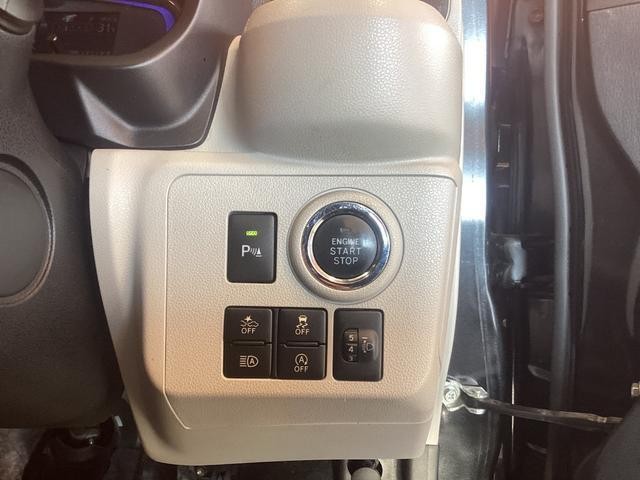 24127074_carP_l_7.jpg