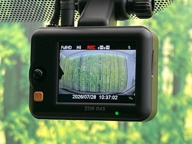 25486916_carP_l_14.jpg