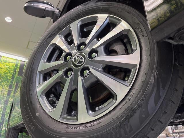 25904395_carP_l_7.jpg