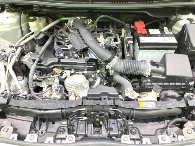 24320362_carP_l_16.jpg