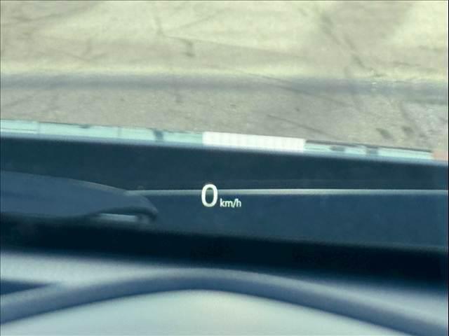 07.jpg