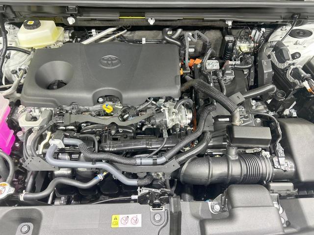 24320502_carP_l_16.jpg
