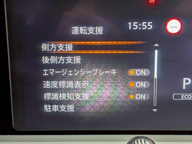 23536787_carP_l_5.jpg