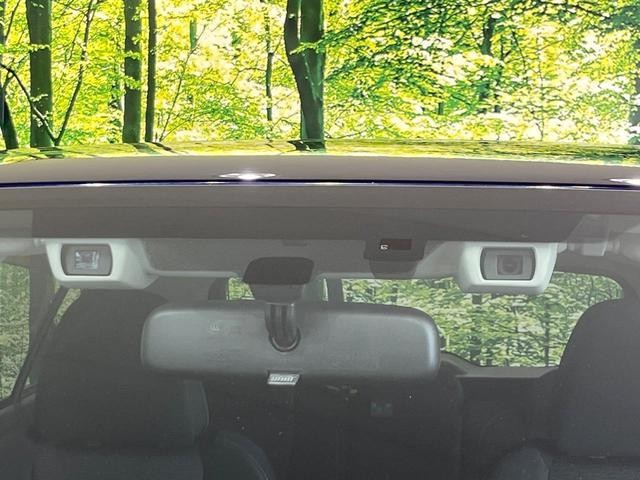 25035980_carP_l_15.jpg