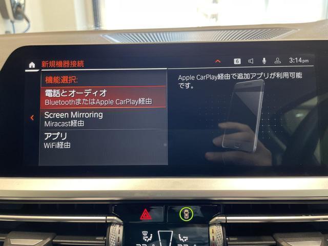 22576569_carP_l_13.jpg