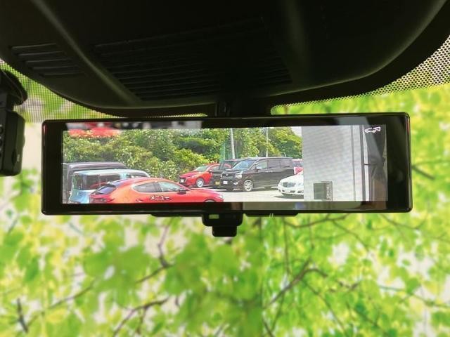 24542482_carP_l_6.jpg