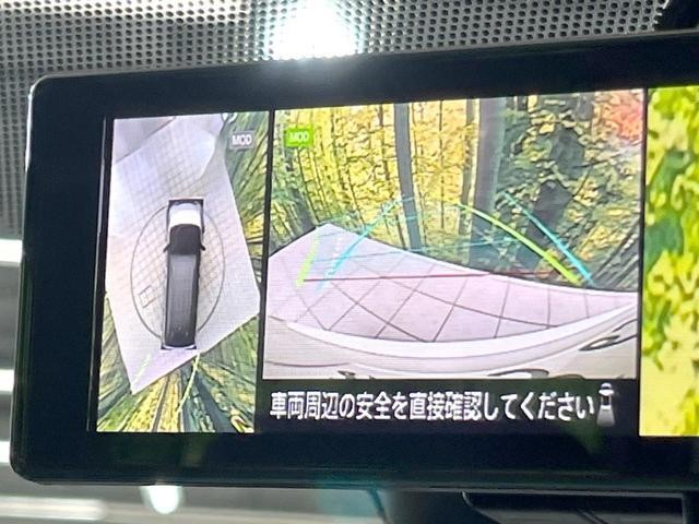 25075947_carP_l_10.jpg