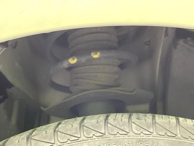 25075947_carP_l_16.jpg