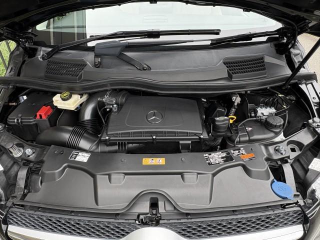 24035297_carP_l_17.jpg
