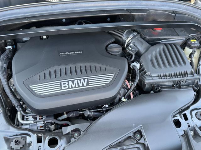 23125314_carP_l_17.jpg
