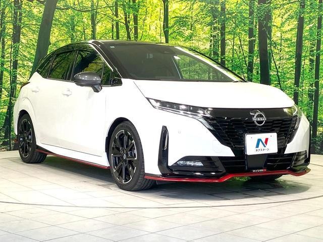 25117695_carP_l_11.jpg