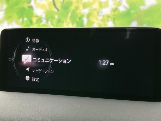 24547007_carP_l_19.jpg