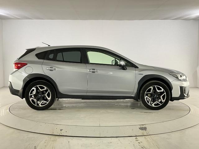 22333865_carP_l_17.jpg