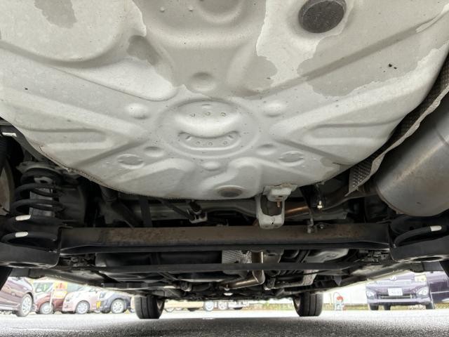 26907289_carP_l_20.jpg