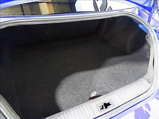 24991959_carP_l_18.jpg
