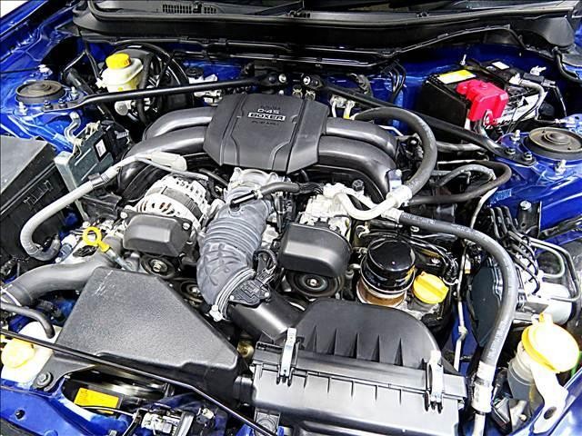 24991959_carP_l_20.jpg