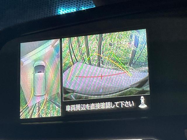 23865299_carP_l_10.jpg