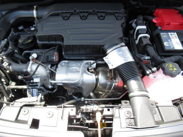 13946902_carP_l_12.jpg