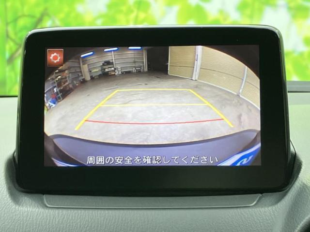 22563093_carP_l_6.jpg