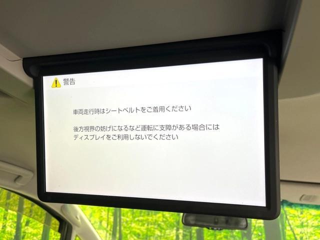 26293286_carP_l_10.jpg