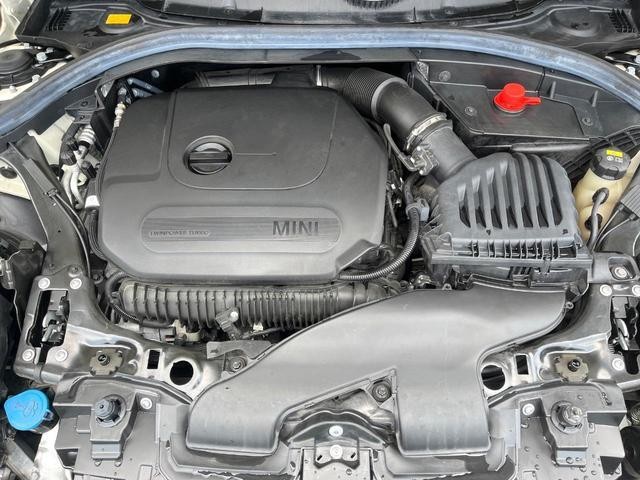 24521026_carP_l_12.jpg