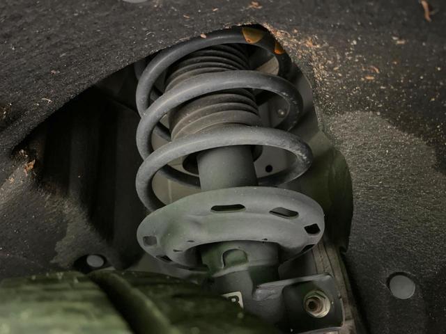 24441169_carP_l_20.jpg