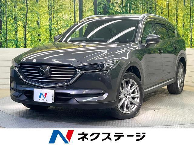 25344149_carP_l_1.jpg