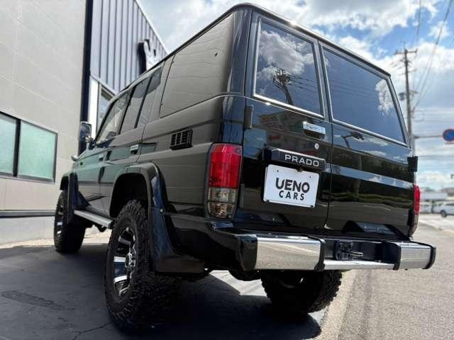 26848992_carP_l_8.jpg