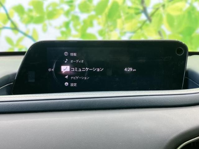 25626989_carP_l_19.jpg