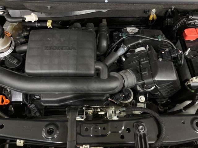 25384346_carP_l_16.jpg
