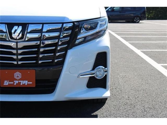 27046514_carP_l_2.jpg