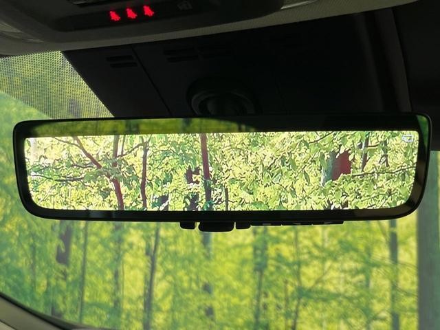24500983_carP_l_14.jpg