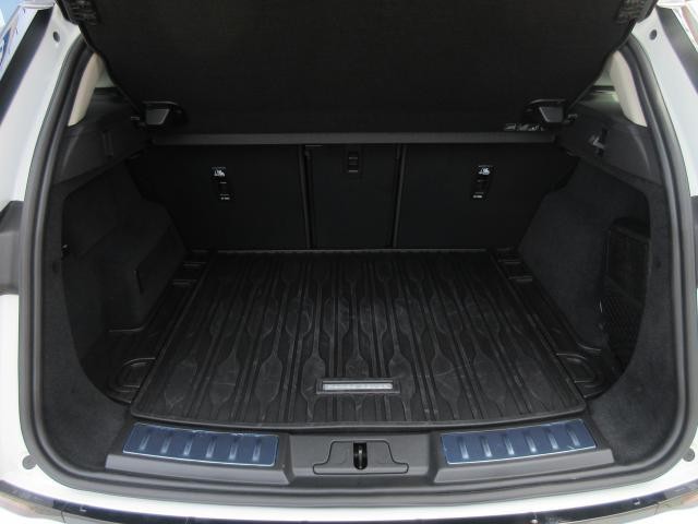 24976664_carP_l_19.jpg