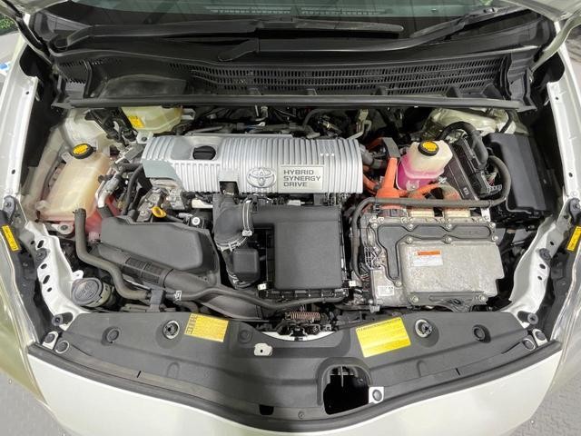 25384617_carP_l_3.jpg