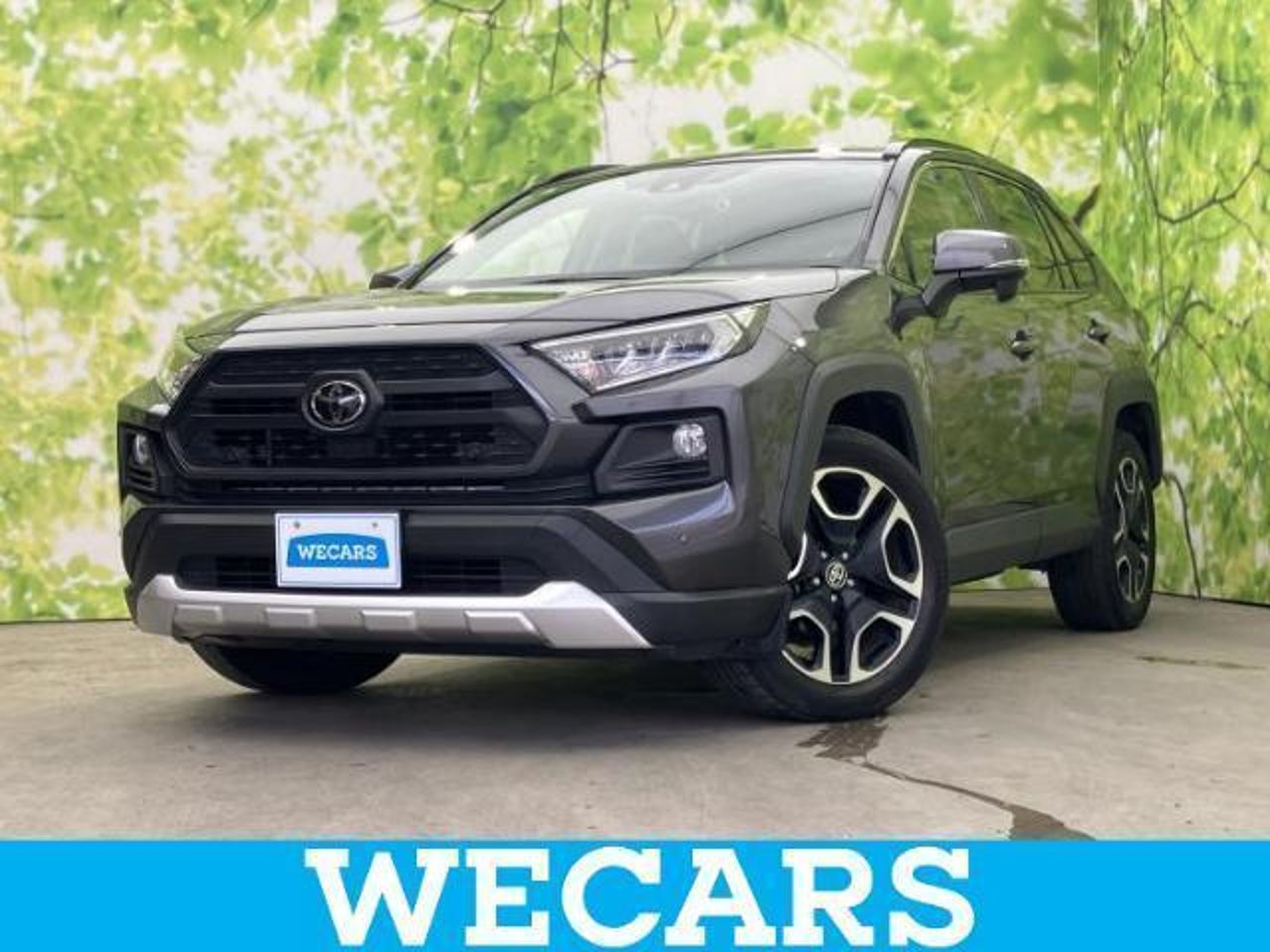 2019 Toyota Rav4, photo 1 of 1