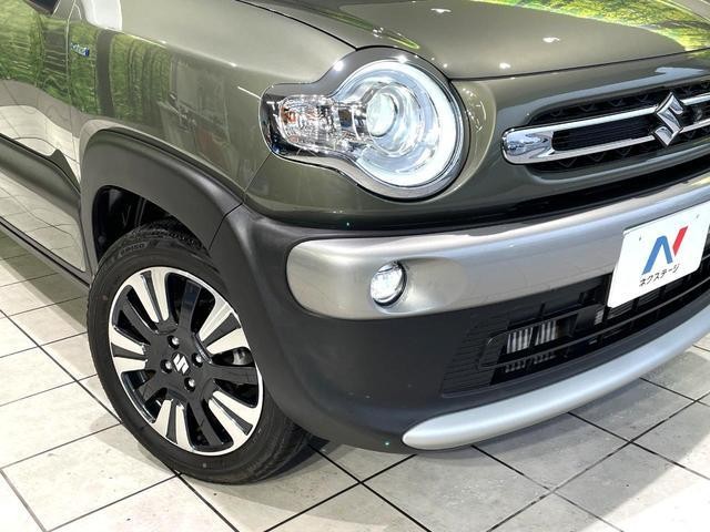 24808205_carP_l_6.jpg