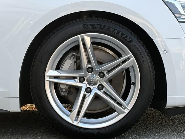 25279397_carP_l_12.jpg